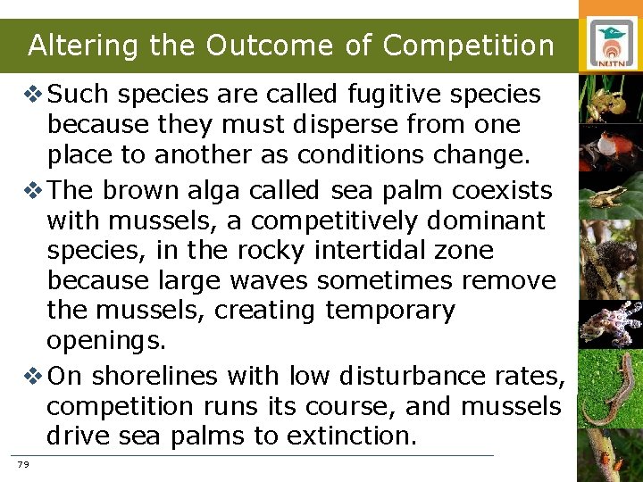 Altering the Outcome of Competition v Such species are called fugitive species because they