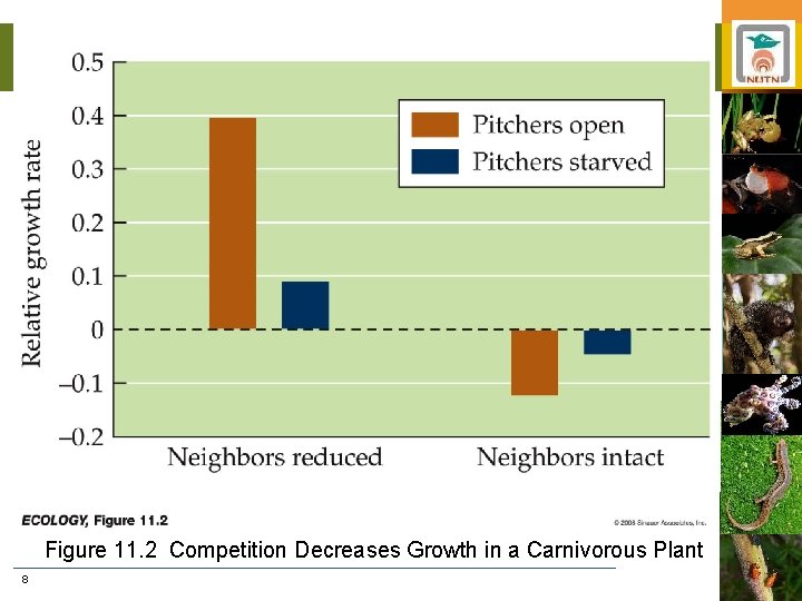 Figure 11. 2 Competition Decreases Growth in a Carnivorous Plant 8 