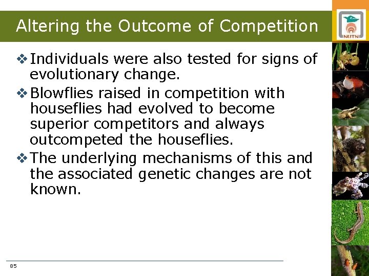 Altering the Outcome of Competition v Individuals were also tested for signs of evolutionary