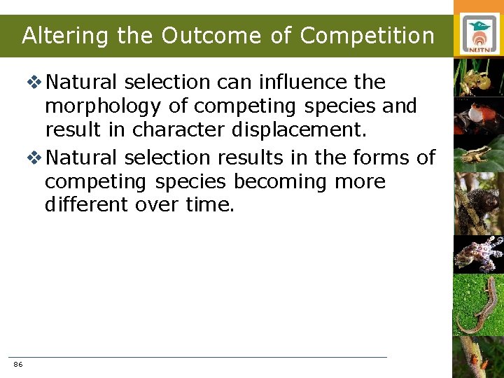 Altering the Outcome of Competition v Natural selection can influence the morphology of competing