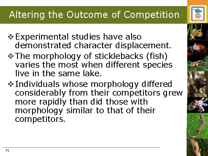 Altering the Outcome of Competition v Experimental studies have also demonstrated character displacement. v