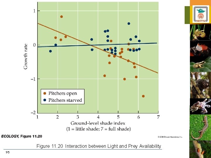 Figure 11. 20 Interaction between Light and Prey Availability 95 