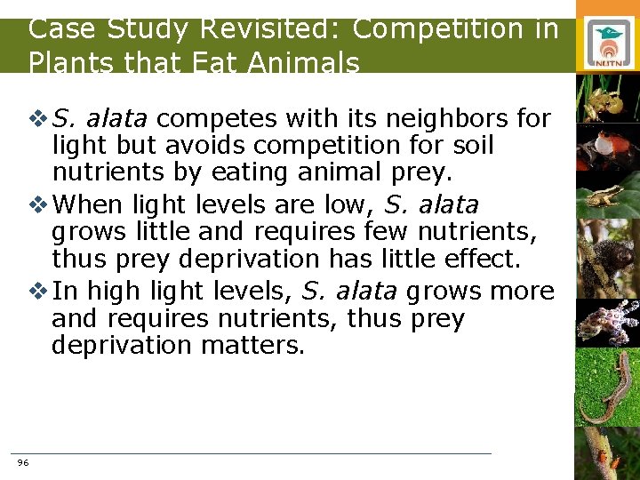 Case Study Revisited: Competition in Plants that Eat Animals v S. alata competes with