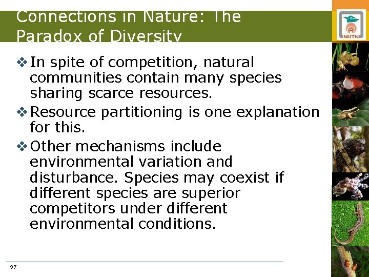 Connections in Nature: The Paradox of Diversity v In spite of competition, natural communities