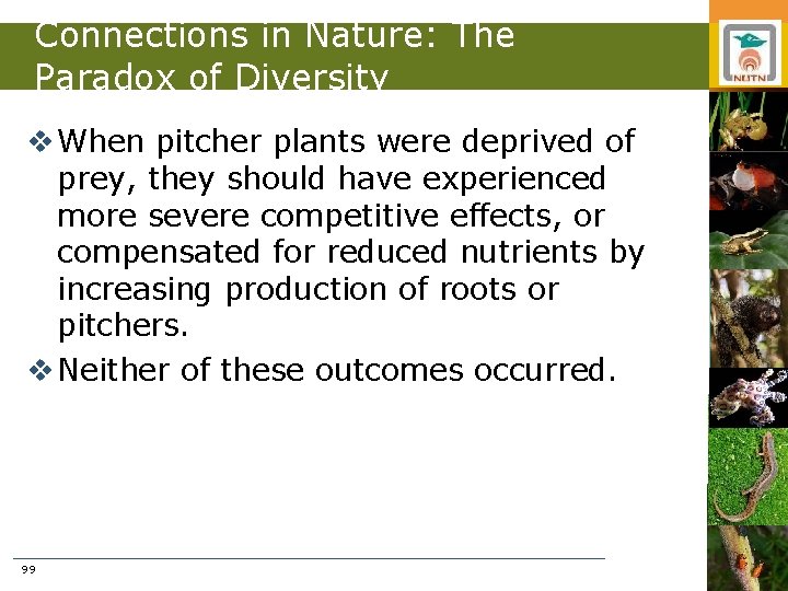 Connections in Nature: The Paradox of Diversity v When pitcher plants were deprived of