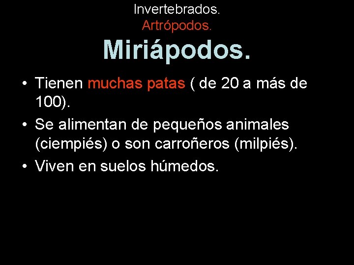 Invertebrados. Artrópodos. Miriápodos. • Tienen muchas patas ( de 20 a más de 100).