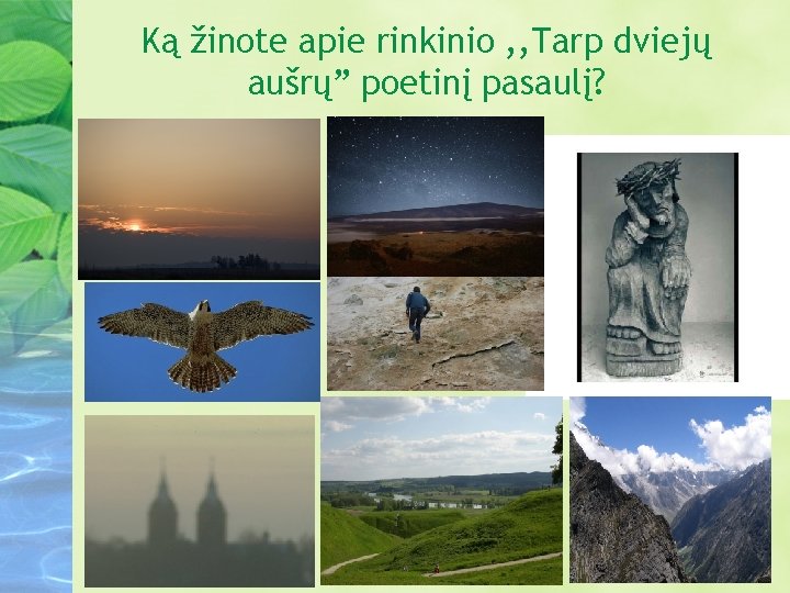 Ką žinote apie rinkinio , , Tarp dviejų aušrų” poetinį pasaulį? 