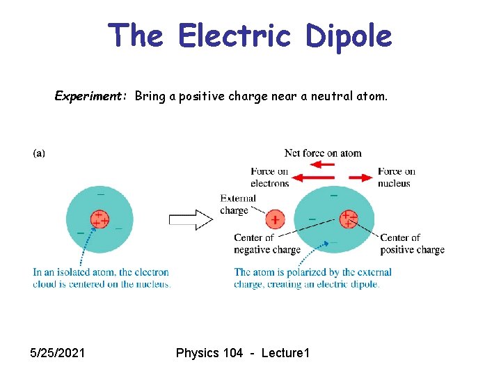 The Electric Dipole Experiment: Bring a positive charge near a neutral atom. 5/25/2021 Physics