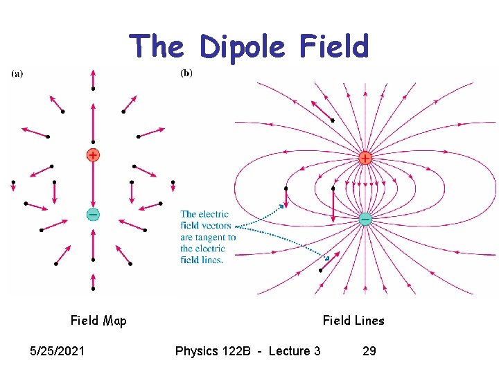 The Dipole Field Map 5/25/2021 Field Lines Physics 122 B - Lecture 3 29