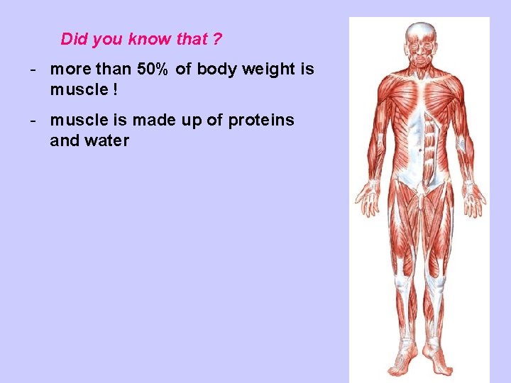 Did you know that ? - more than 50% of body weight is muscle