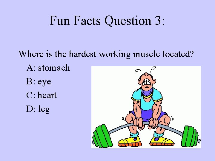 Fun Facts Question 3: Where is the hardest working muscle located? A: stomach B: