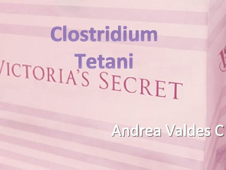 Clostridium Tetani Andrea Valdes C 