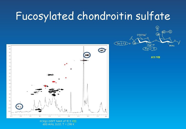 Fucosylated chondroitin sulfate f. CS VII HSQC-DEPT NMR of f. CS VII. 600 MHz,