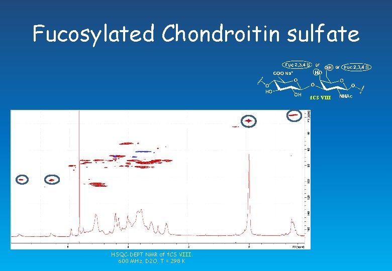 Fucosylated Chondroitin sulfate f. CS VIII HSQC-DEPT NMR of f. CS VIII. 600 MHz,