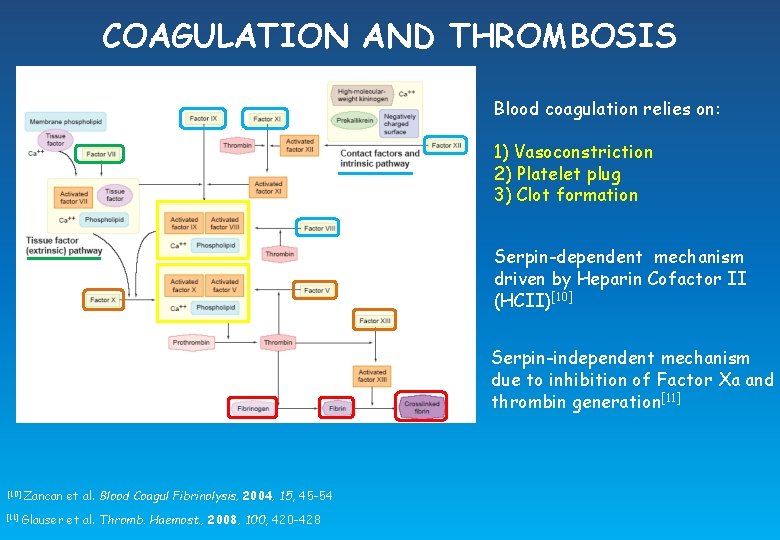 COAGULATION AND THROMBOSIS Blood coagulation relies on: 1) Vasoconstriction 2) Platelet plug 3) Clot