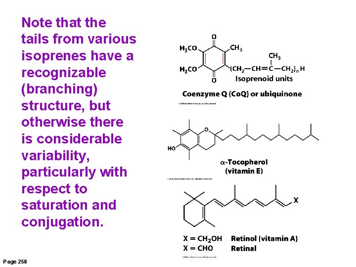 Note that the tails from various isoprenes have a recognizable (branching) structure, but otherwise