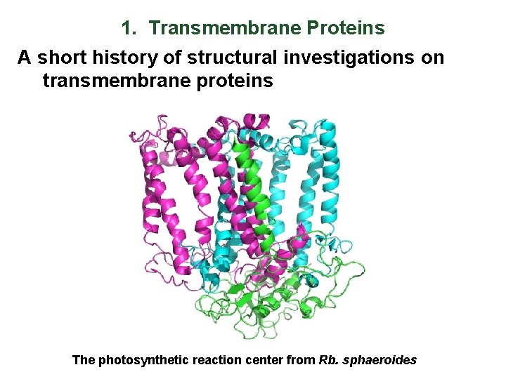1. Transmembrane Proteins A short history of structural investigations on transmembrane proteins The photosynthetic