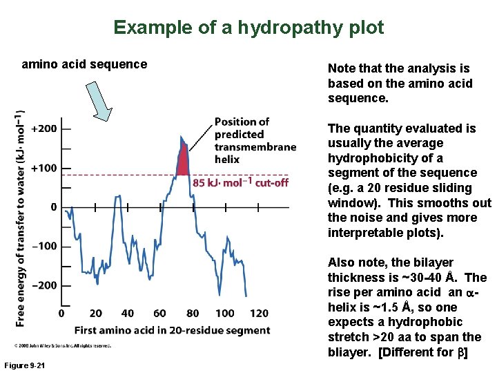 Example of a hydropathy plot amino acid sequence Note that the analysis is based