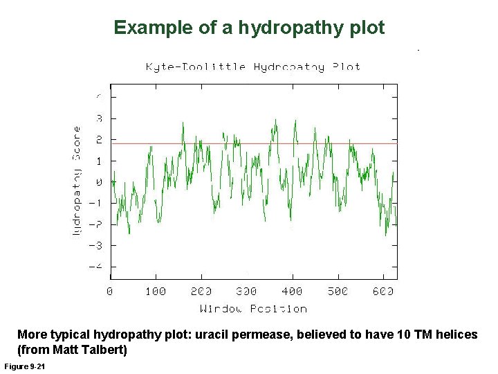 Example of a hydropathy plot More typical hydropathy plot: uracil permease, believed to have