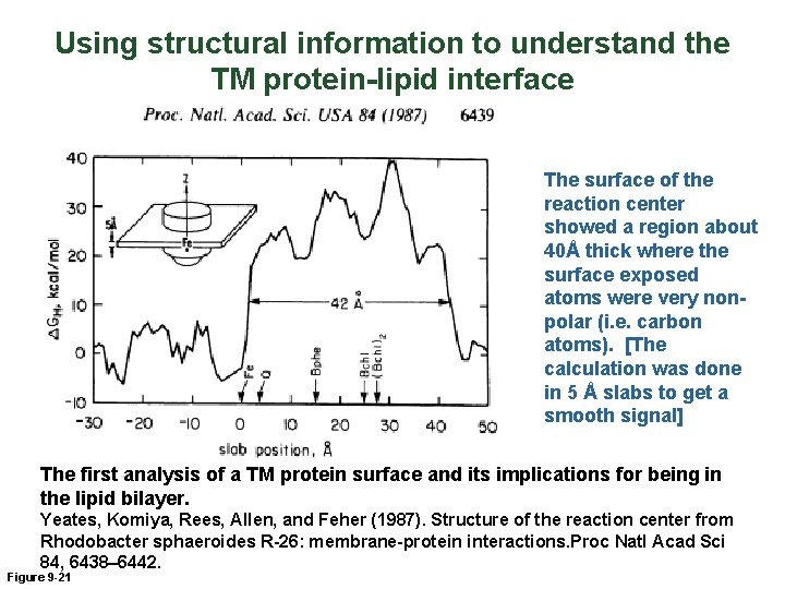 Using structural information to understand the TM protein-lipid interface The surface of the reaction