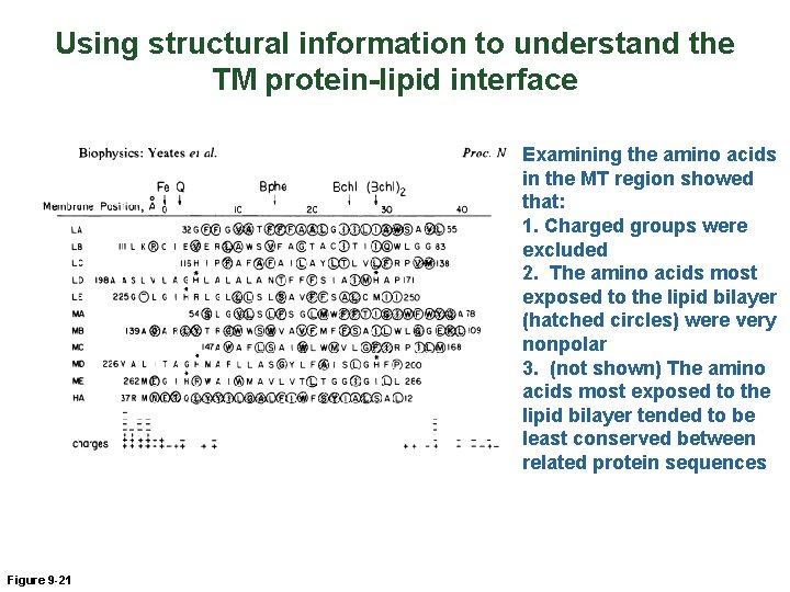 Using structural information to understand the TM protein-lipid interface Examining the amino acids in
