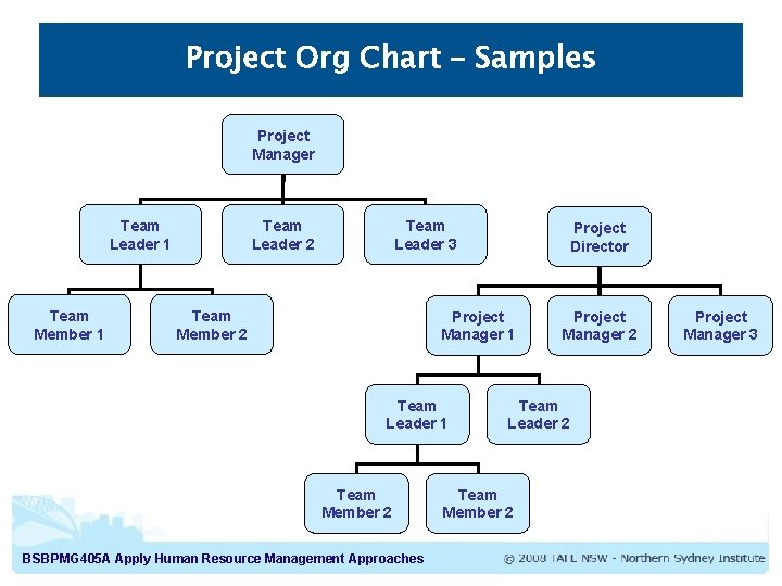 Project Org Chart – Samples Project Manager Team Leader 1 Team Member 1 Team