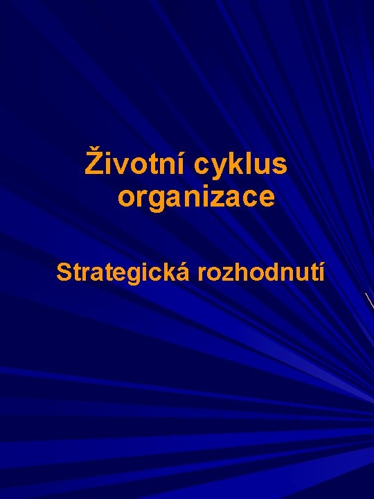 Životní cyklus organizace Strategická rozhodnutí 