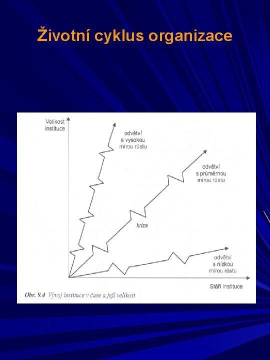 Životní cyklus organizace 
