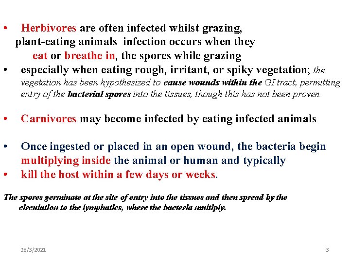  • Herbivores are often infected whilst grazing, plant-eating animals infection occurs when they