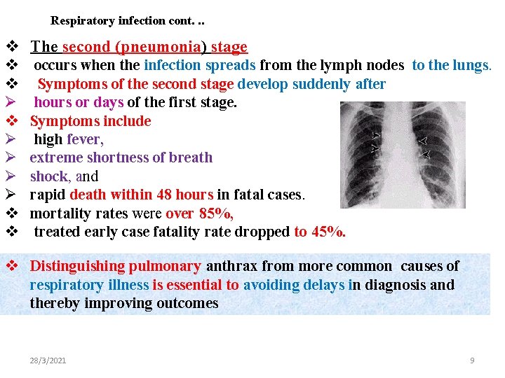 Respiratory infection cont. . . v The second (pneumonia) stage v v Ø Ø