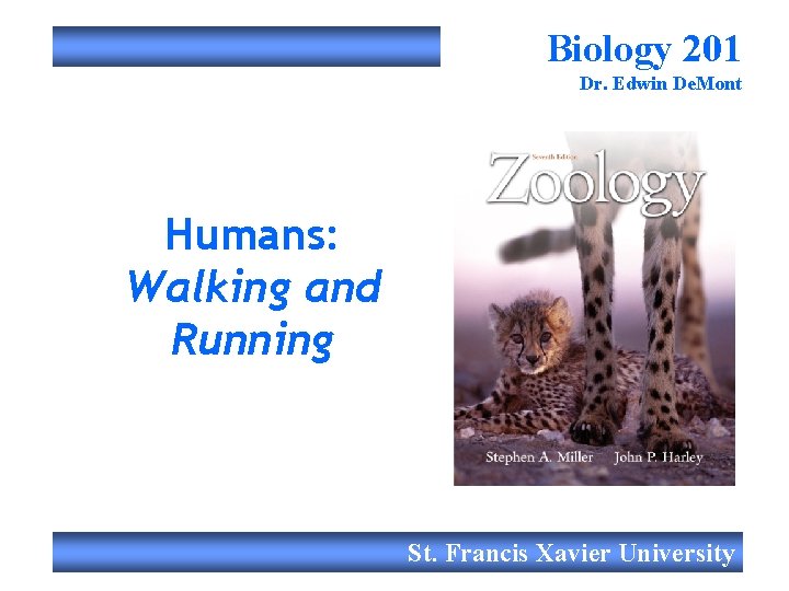 Biology 201 Dr. Edwin De. Mont Humans: Walking and Running St. Francis Xavier University