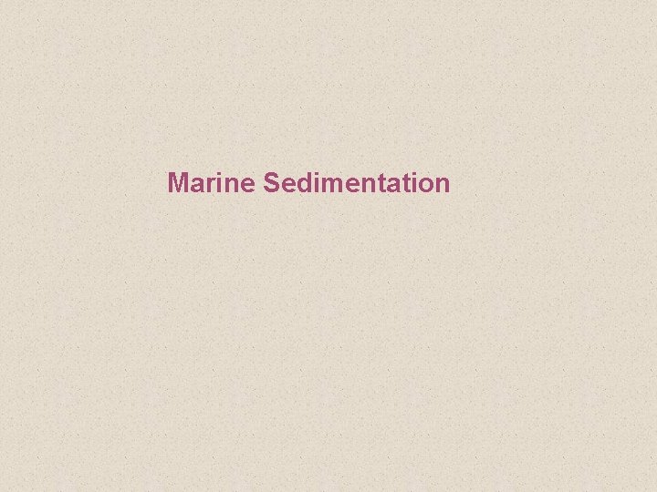 Marine Sedimentation 