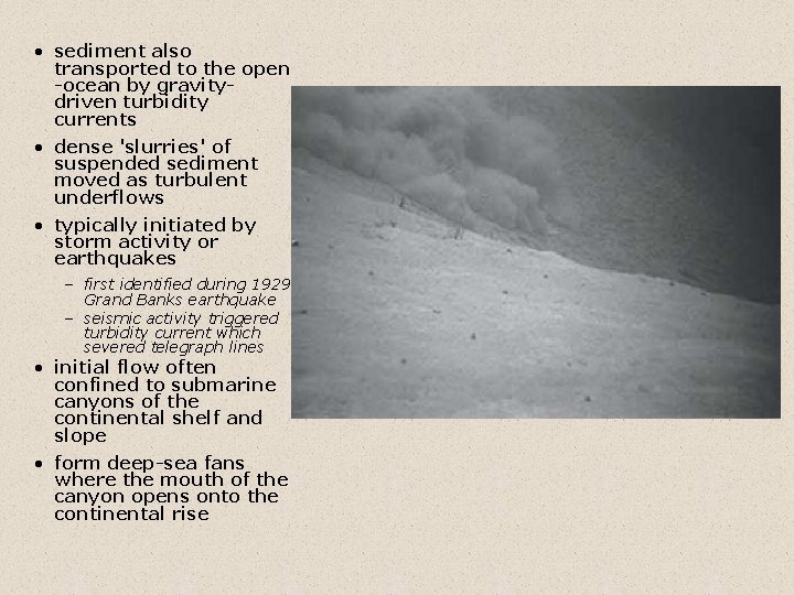  • sediment also transported to the open -ocean by gravitydriven turbidity currents •