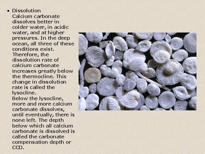  • Dissolution Calcium carbonate dissolves better in colder water, in acidic water, and