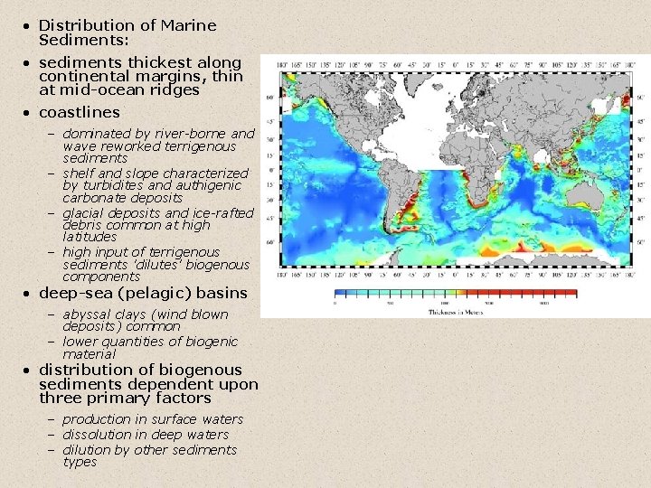  • Distribution of Marine Sediments: • sediments thickest along continental margins, thin at