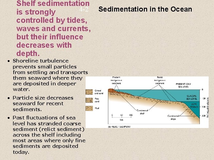 Shelf sedimentation 4 -2 is strongly controlled by tides, waves and currents, but their