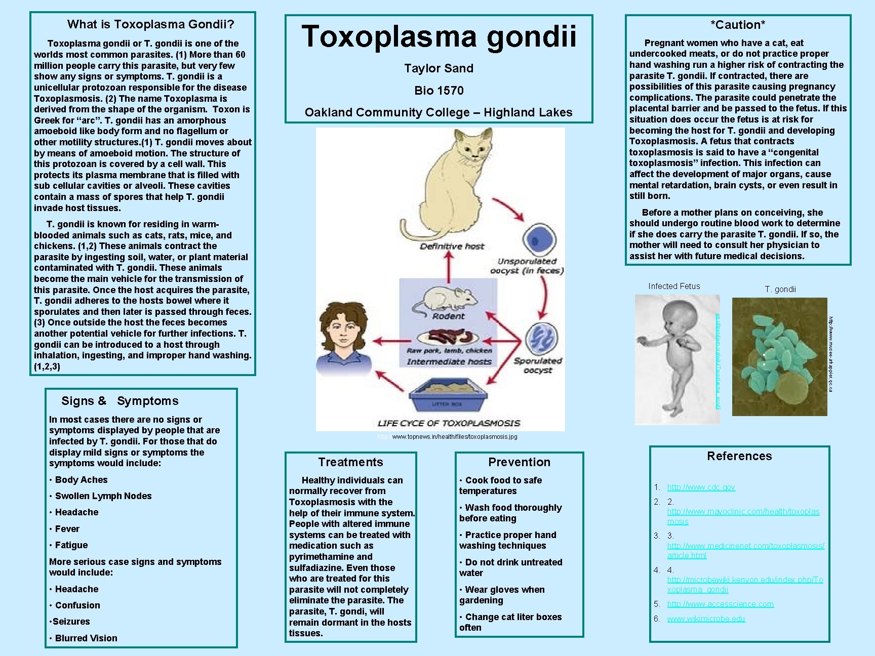 What is Toxoplasma Gondii? Toxoplasma gondii or T. gondii is one of the worlds