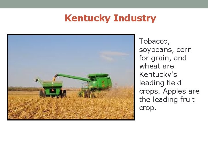 Kentucky Industry Tobacco, soybeans, corn for grain, and wheat are Kentucky's leading field crops.