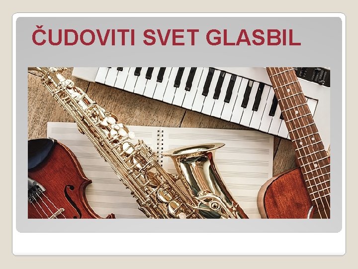 ČUDOVITI SVET GLASBIL 