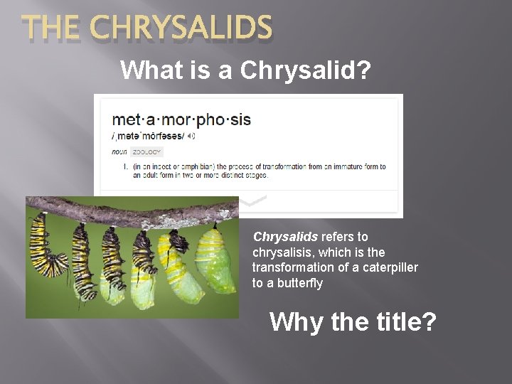 THE CHRYSALIDS What is a Chrysalid? Chrysalids refers to chrysalisis, which is the transformation