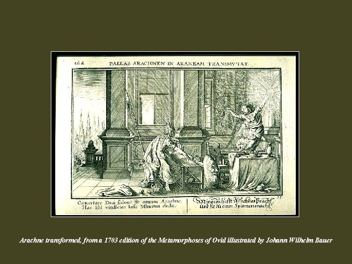 Arachne transformed, from a 1703 edition of the Metamorphoses of Ovid illustrated by Johann Arachne transformed, from a 1703 edition of the Metamorphoses of Ovid illustrated by Johann