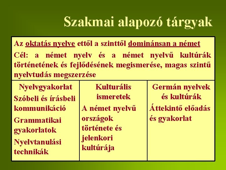 Szakmai alapozó tárgyak Az oktatás nyelve ettől a szinttől dominánsan a német Cél: a