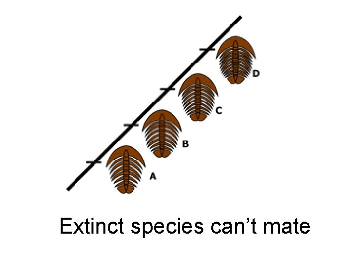 Extinct species can’t mate 