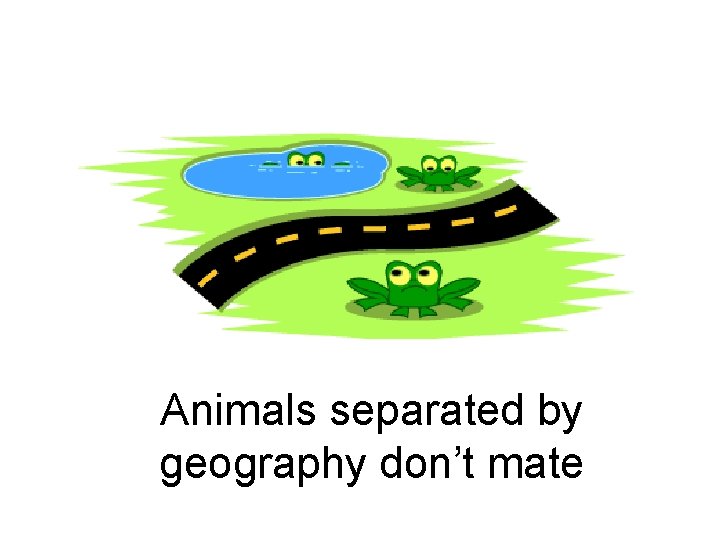 Animals separated by geography don’t mate 