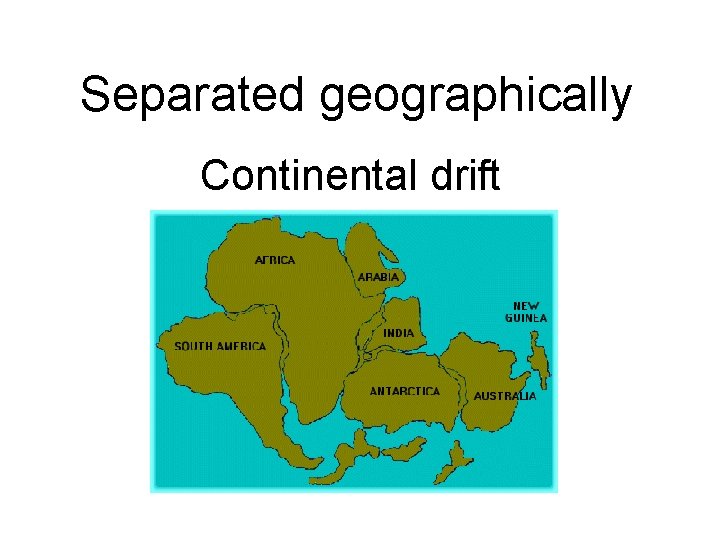 Separated geographically Continental drift 