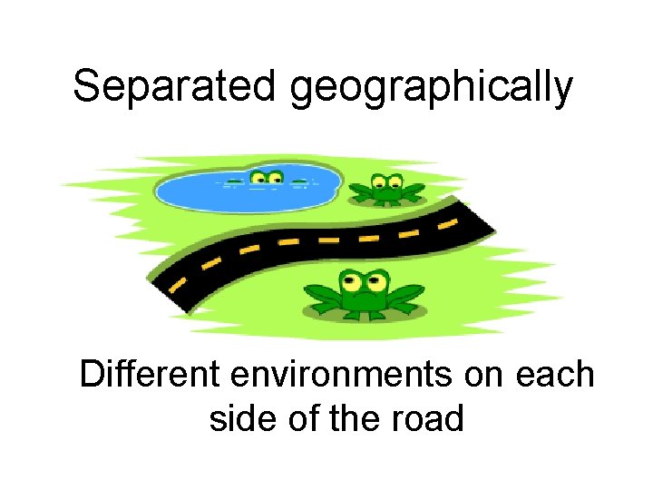Separated geographically Different environments on each side of the road 