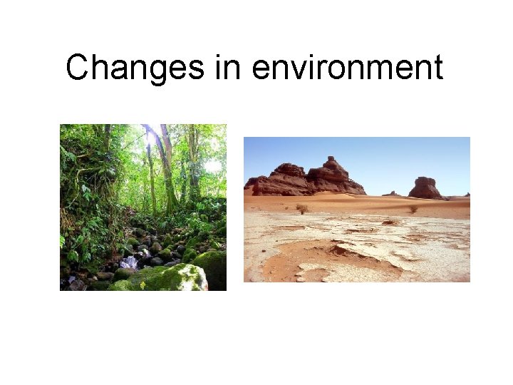 Changes in environment 
