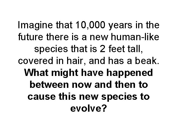 Imagine that 10, 000 years in the future there is a new human-like species