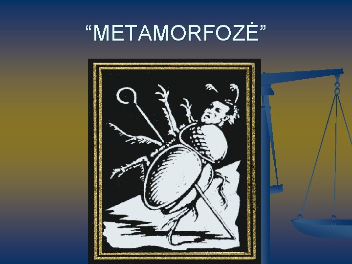 “METAMORFOZĖ” 