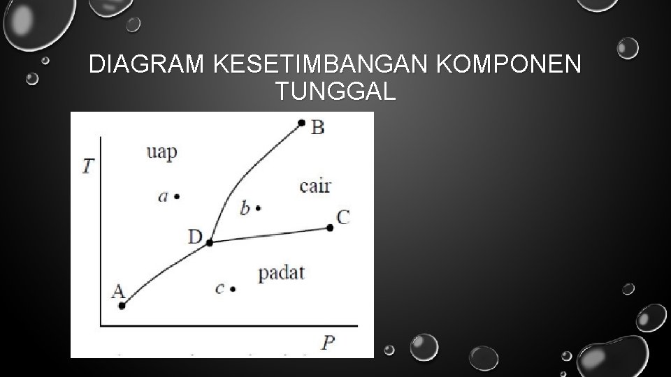 DIAGRAM KESETIMBANGAN KOMPONEN TUNGGAL 